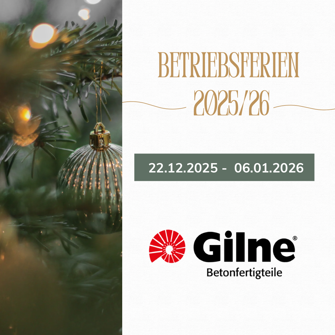 Grün Weiß Fotografisch Elegant Weihnachten Rabatt Instagram Post